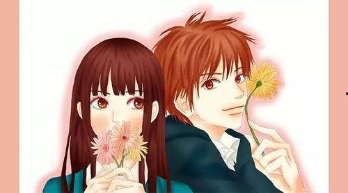 校园恋爱动漫,校园恋爱动漫的甜蜜篇章